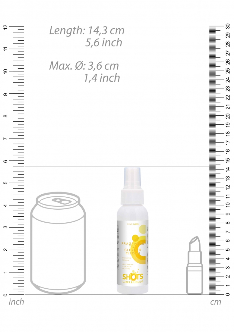 Fragrance Toy Cleaner - Citron - 100ML