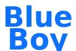 blue boy.jpg