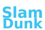 slam dunk 1.jpg