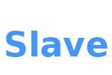 slave.jpg