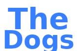 the dogs.jpg