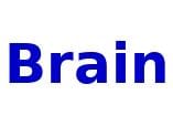 brain.jpg